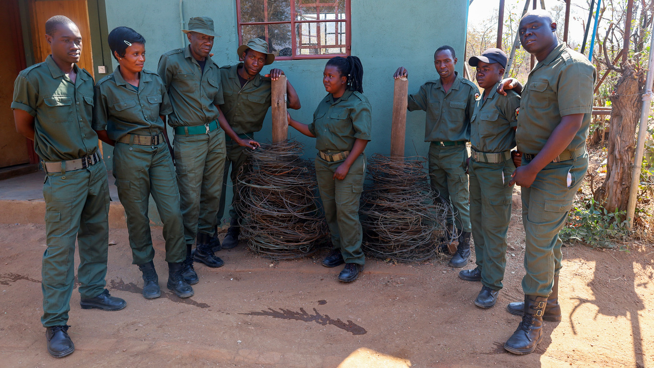 The DART team with snares found in the buffer area bordering Hwange National Park, Zimbabwe.