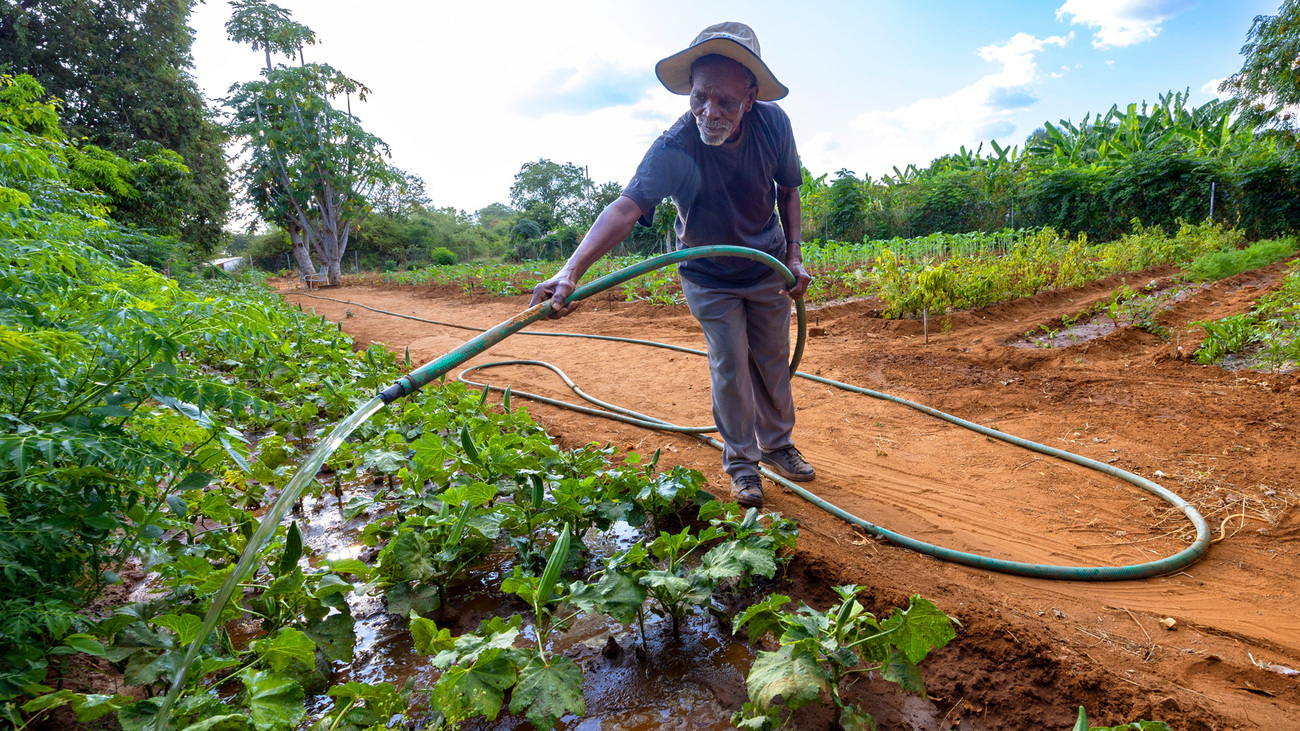 Watering the vegetable garden at the newly upgraded and expanded Dete Old People’s Home near Hwange National Park in Zimbabwe.