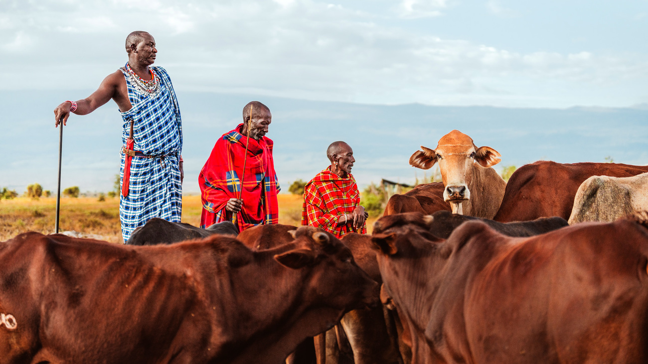 Cattle and community members at the water trough with Joseph Lentita Sesu (left), the chairman of the community, near Amboseli National Park, Kenya.