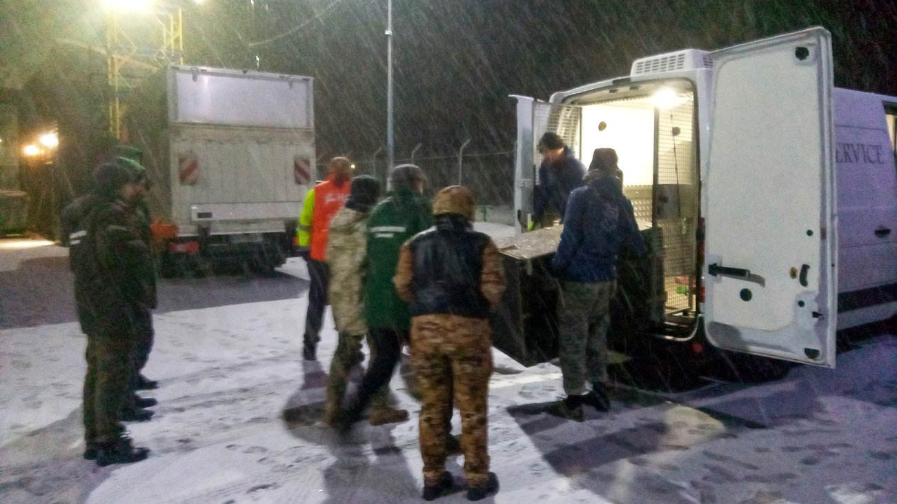 Carefully loading a lion in a transport crate into a truck for their journey from Wild Animal Rescue in Ukraine to Parc de l'Auxois in Dijon, France.