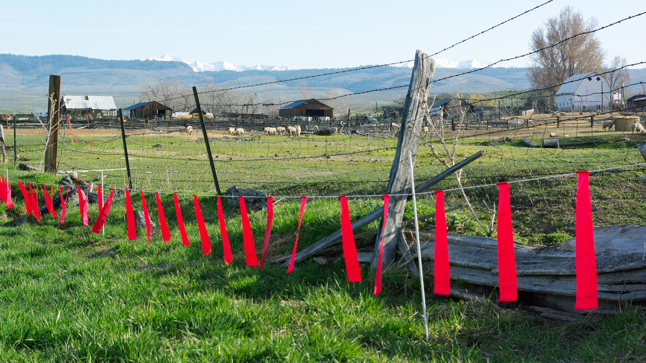 Fladry fencing installed at the site of Oregon’s first known depredation by wolves, at a ranch in the Keating Valley area of Baker County.