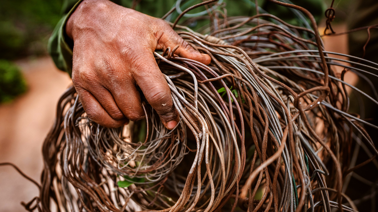 A community ranger in Mgeno Wildlife Conservancy with snares collected during the past six months.