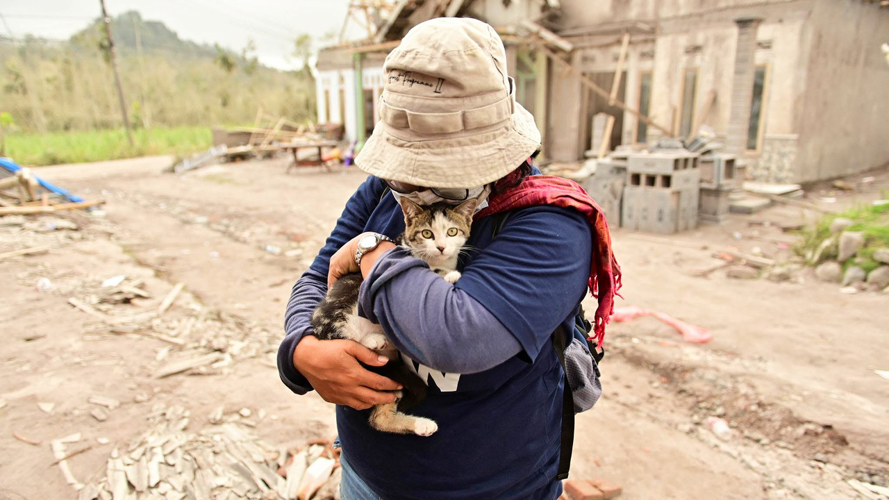 A responder cares for a cat in the aftermath of Mount Semeru erupting in Java, Indonesia.