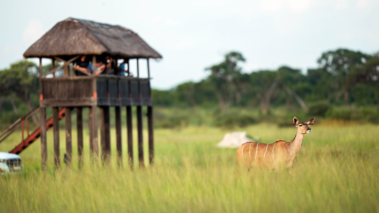 Visitors watch a kudu from a viewing station in Hwange National Park, Zimbabwe.