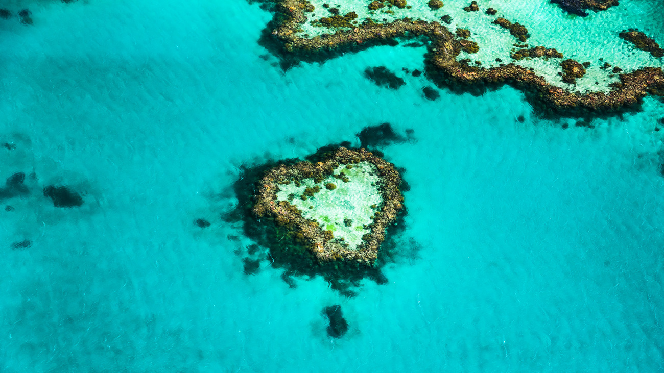 Aerial view of Heart Reef, part of the Great Barrier Reef, Queensland, Australia.