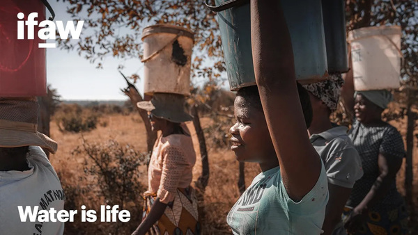 Clean water for drought-stricken villages in Africa protects wildlife 