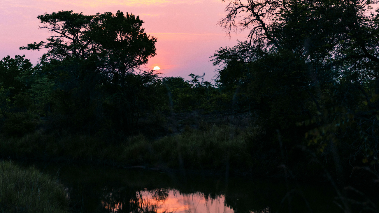 Sunset in Zambia.