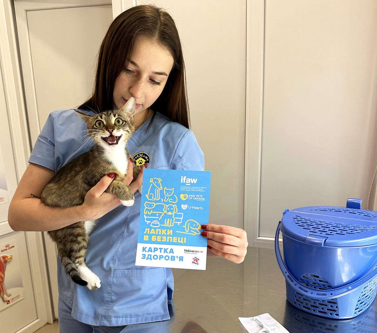 Cat receives free veterinary care as part of the IFAW-supported ‘Save Pets of Ukraine’ initiative in Ukraine.