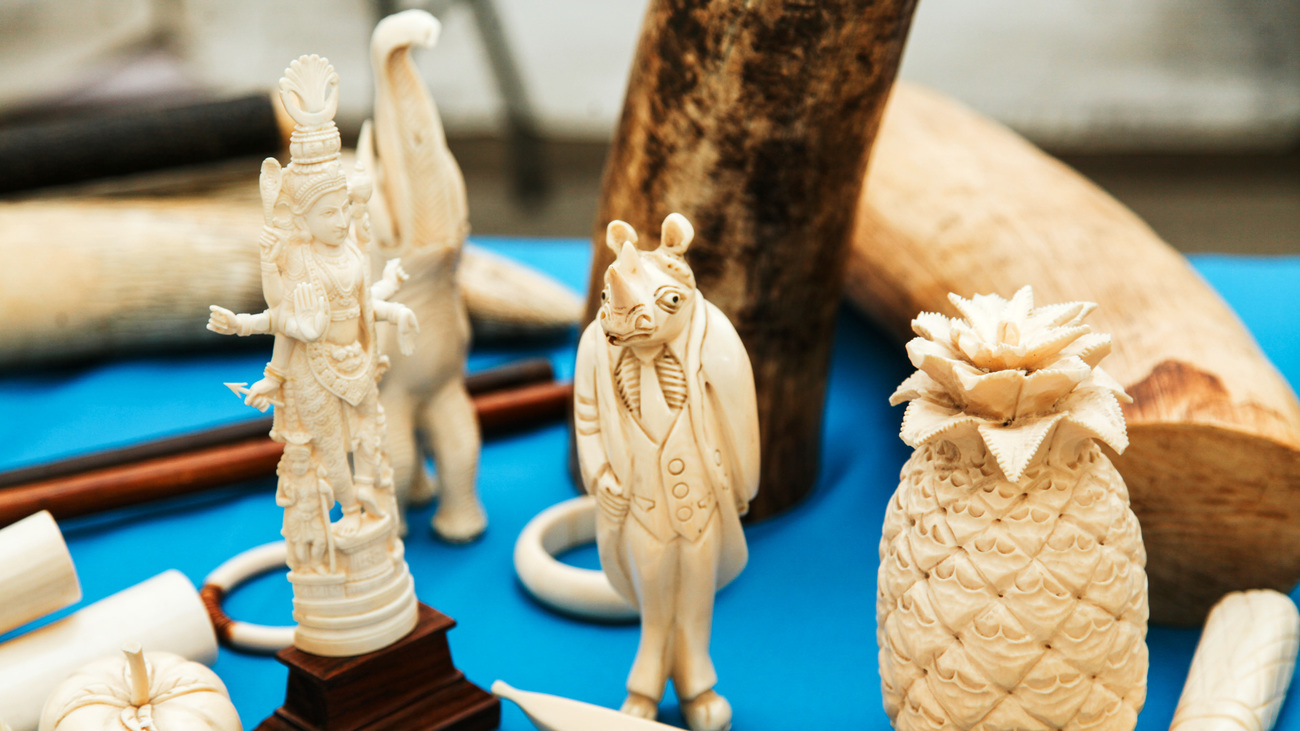 Ivory objects before destruction.