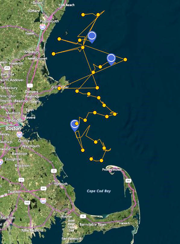 Recent satellite tag data from three dolphins tagged during the 125-dolphin stranding response shows they have successfully moved to deep water.