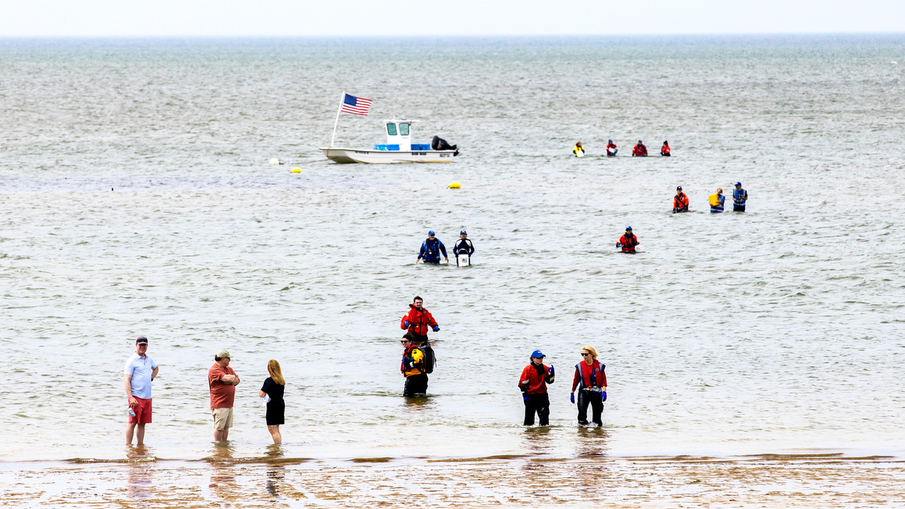 Responders race to save dolphins in Herring Cove, MA, during the largest mass stranding in IFAW's response history.