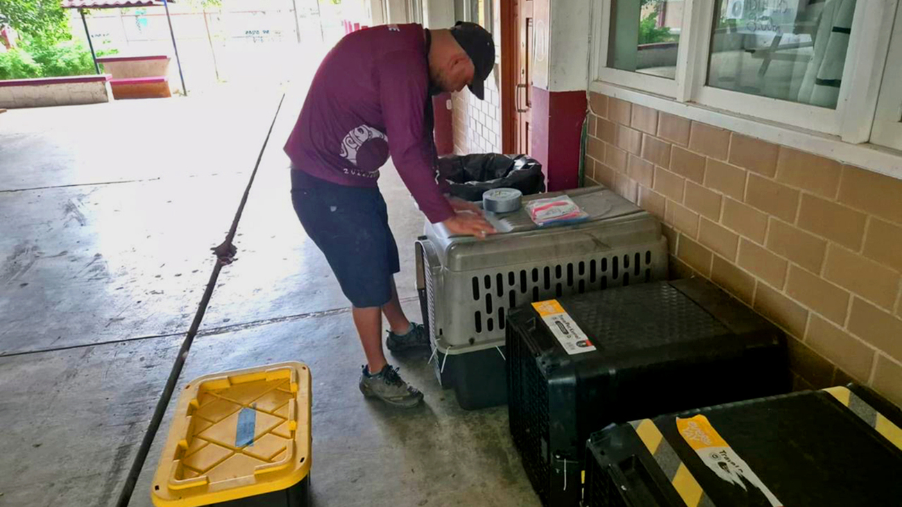 IFAW is opening and managing the temporary shelter for evacuated pets and shelter animals from Holbox.