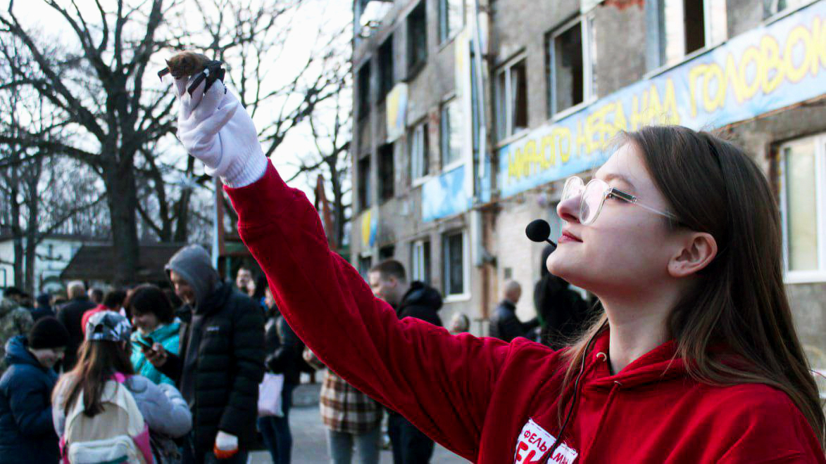 Bat being released in Kharkiv city after rehabilitation at the Bat Rehabilitation Centre in Kharkiv, Ukraine.