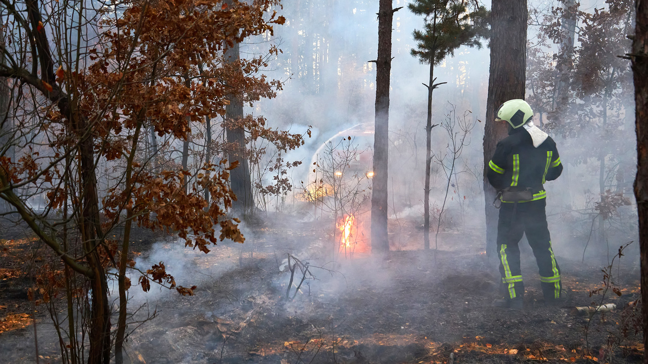 Rokerig bos met brandweerman.