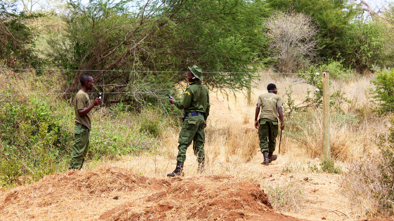 Des gardes-chasse communautaires patrouillent le long d’une partie de la clôture, au sein de la zone de conservation de Kamungi. 