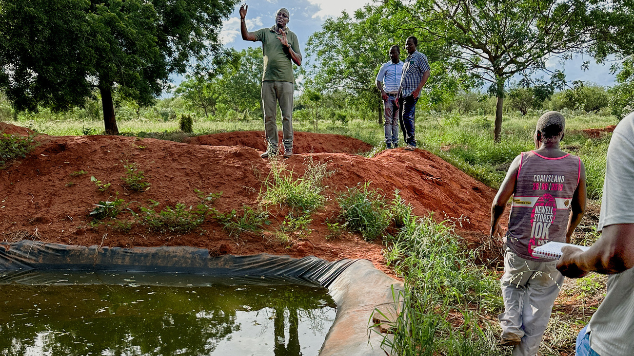 La bâche qui protège la retenue d’eau de Dominic Mutua permet de collecter et de stocker les eaux de pluie et de ruissellement, qui sont ensuite utilisées à des fins agricoles et domestiques dans la zone de conservation de Kamungi. 