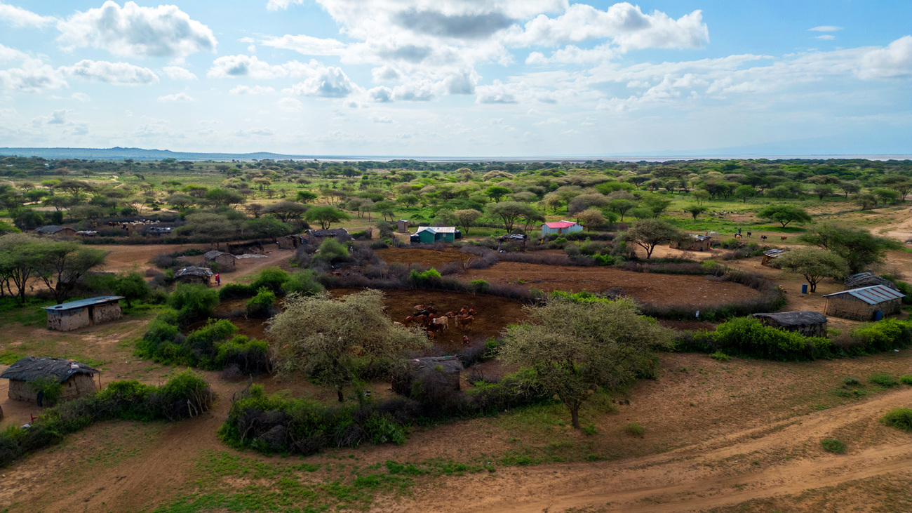 An aerial view of a Maasai village on the outskirts of Illaingarunyoni Conservancy.