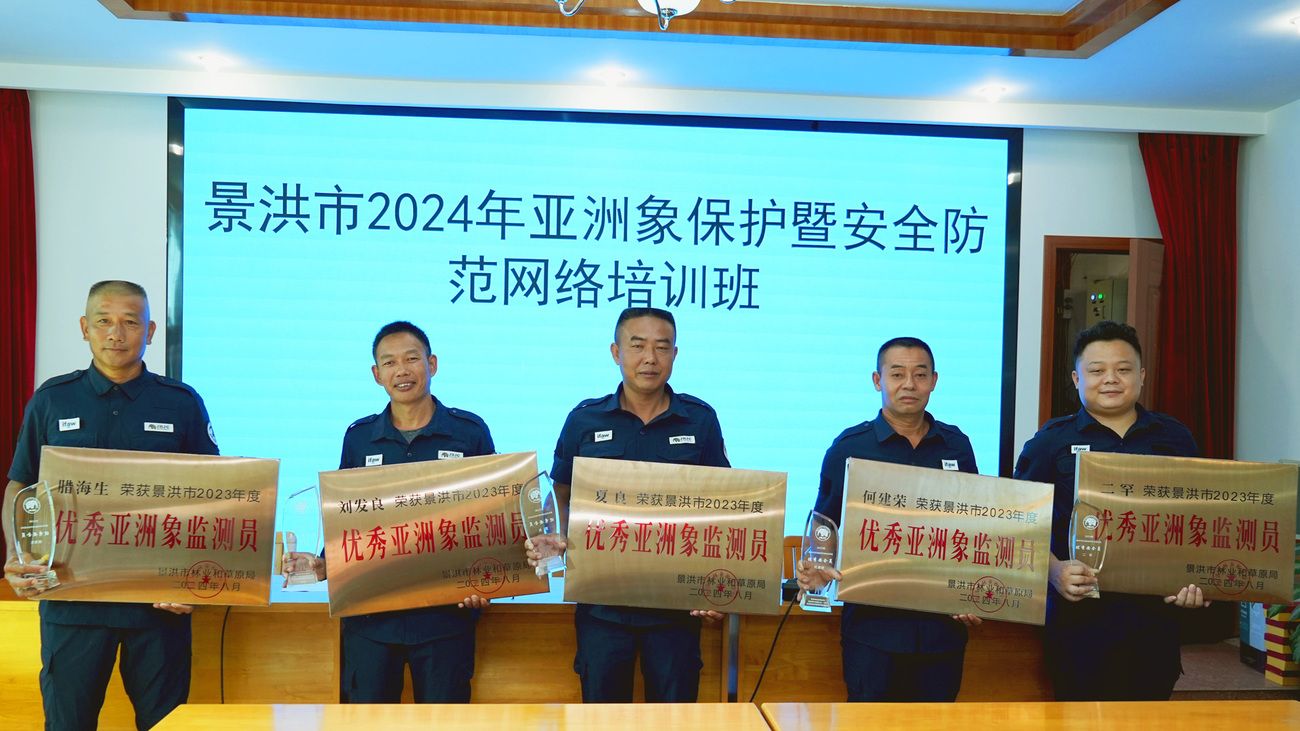 Five outstanding rangers from the Community Ranger Network were honored for their exceptional contributions to enhancing human-elephant co-existence in China.