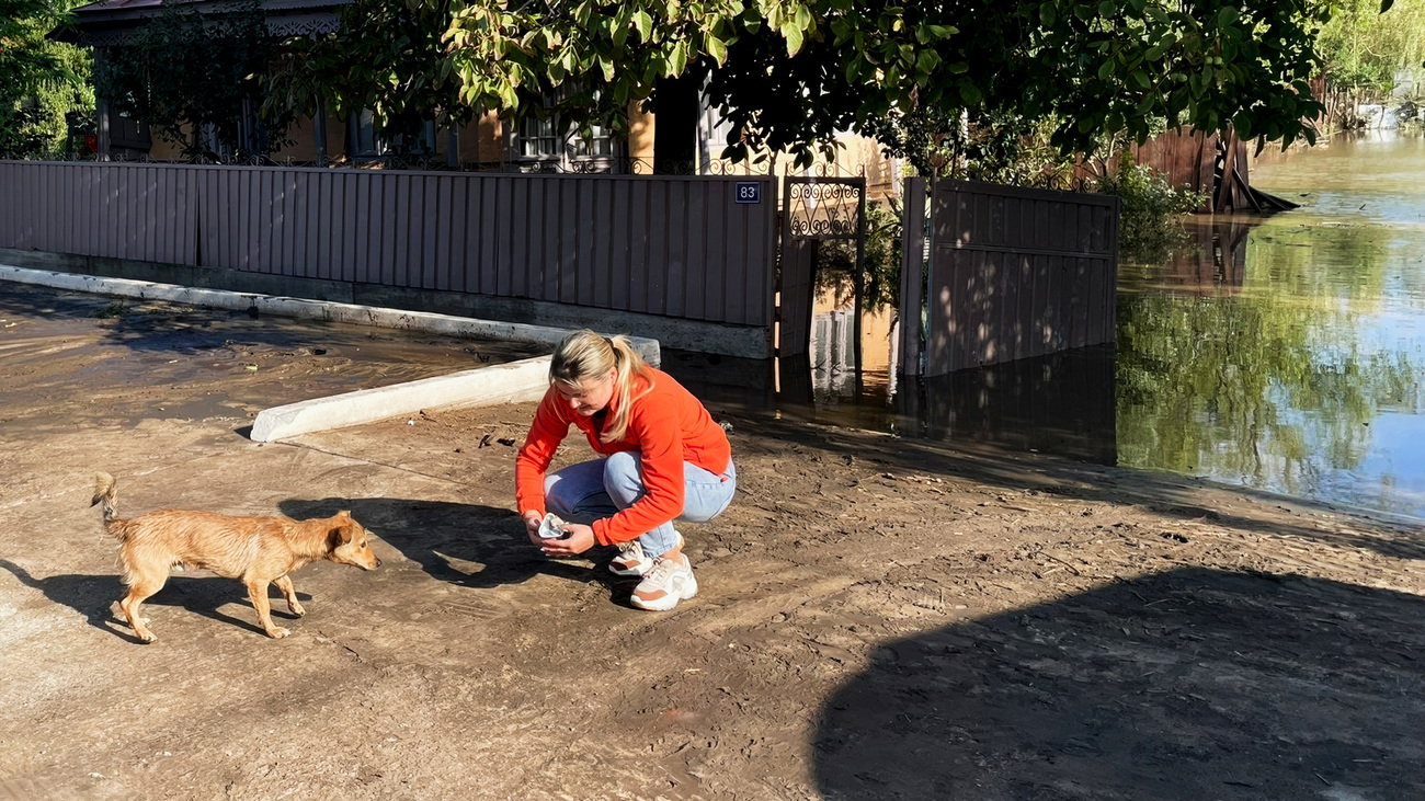 A Sava’s responder supported by IFAW feeds a dog affected by catastrophic floods in Romania’s Galati region.