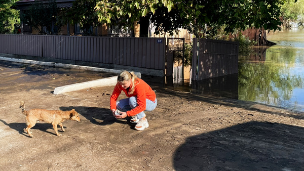 IFAW apporte une aide d'urgence en réponse aux inondations catastrophiques en Europe centrale et orientale