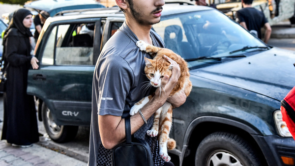 IFAW soutient ses partenaires au Liban