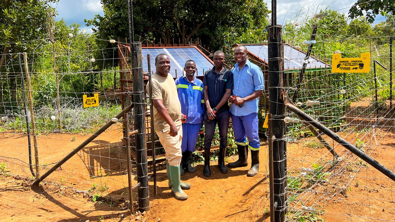 Fence wardens next to fully solar-powered fence