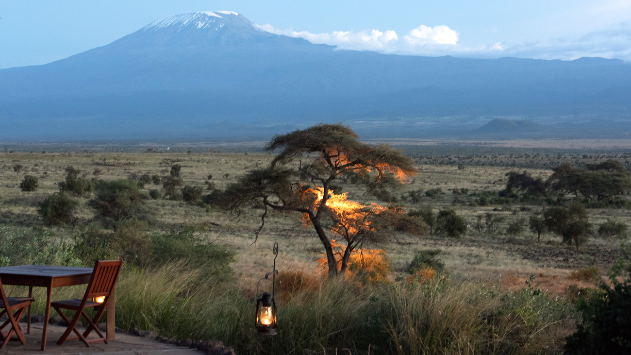 A tree on fire in Amboseli National Park.