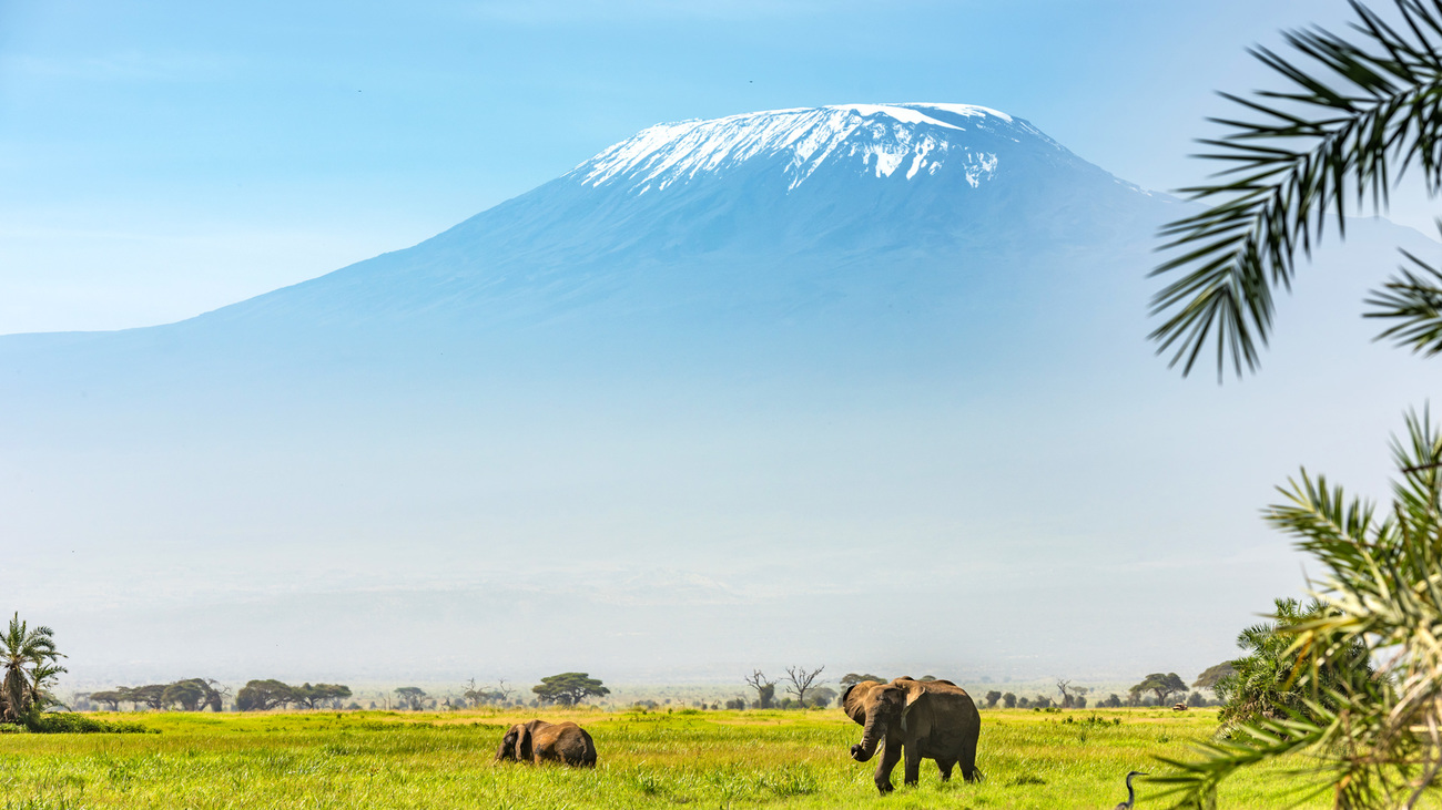 Landscape shot of Amboseli National Park.