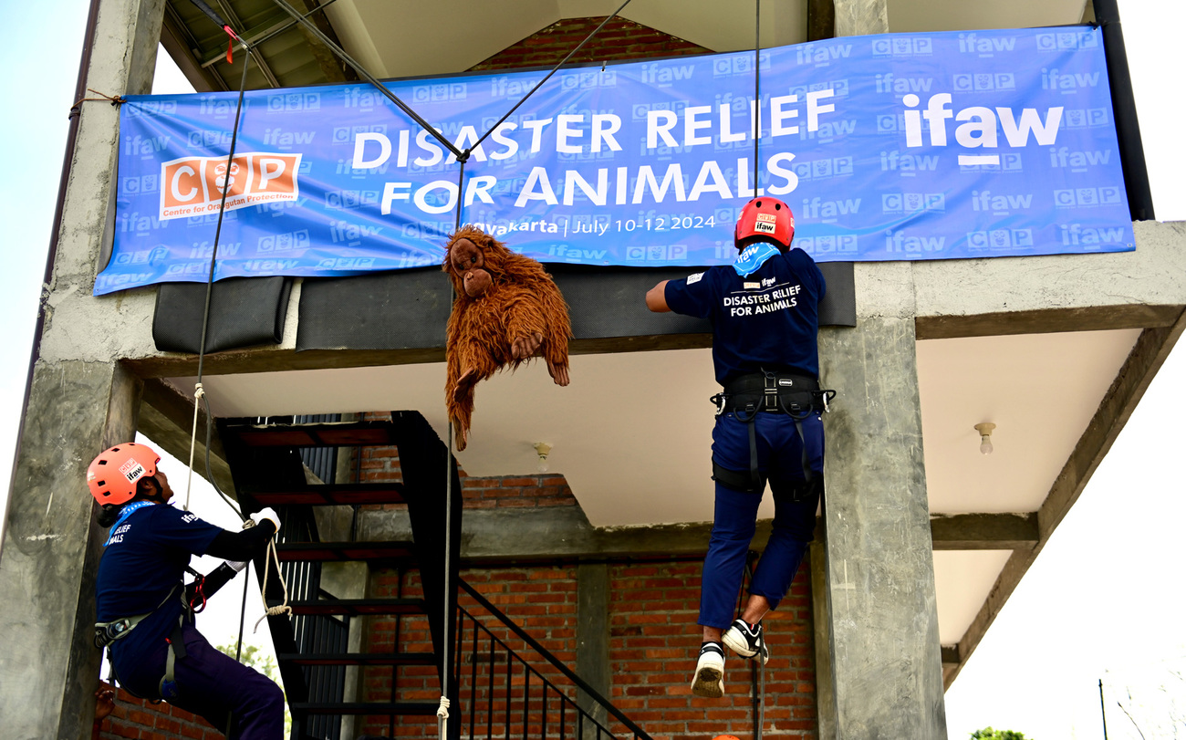 Disaster preparedness class held by IFAW-trained local leaders in Yogyakarta, Indonesia.