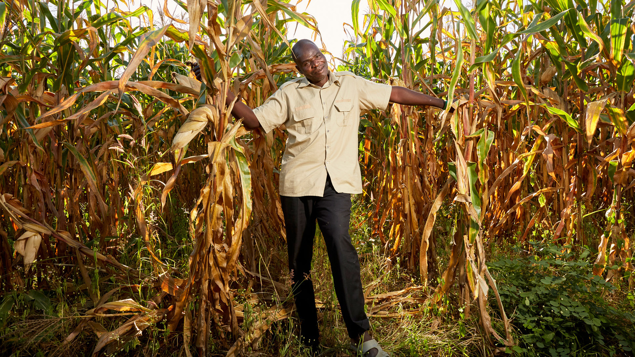 Former poacher Smoke stands in his maize field, Mwase Mphangwe, Zambia.