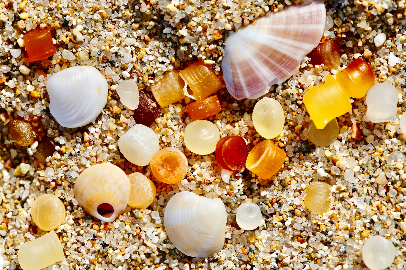 Microplastic nurdles mixed with small seashells, polluting the marine environment.