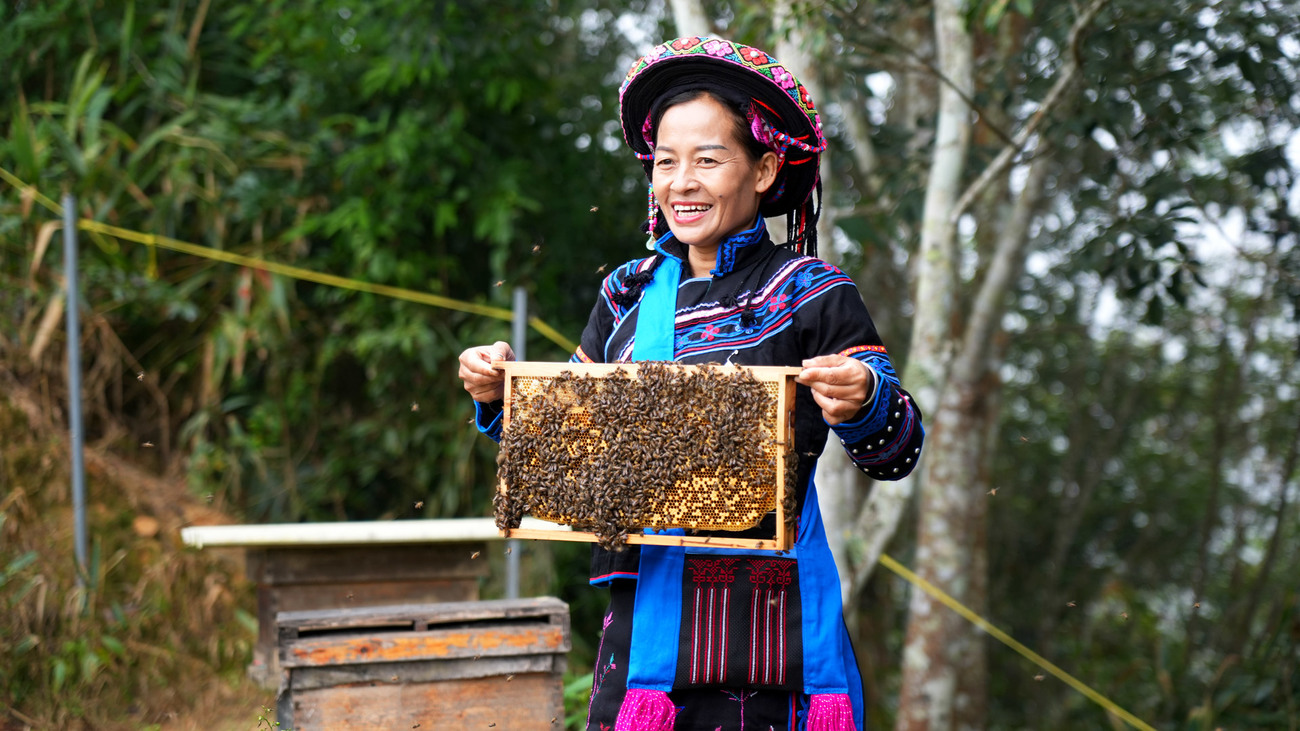 A new beekeeping villager in Konggeliudui learns how to check bees and honeycombs.