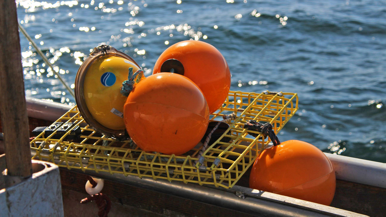 Edgetech and smart buoys in use on a fishing vessel in Sandwich, MA.