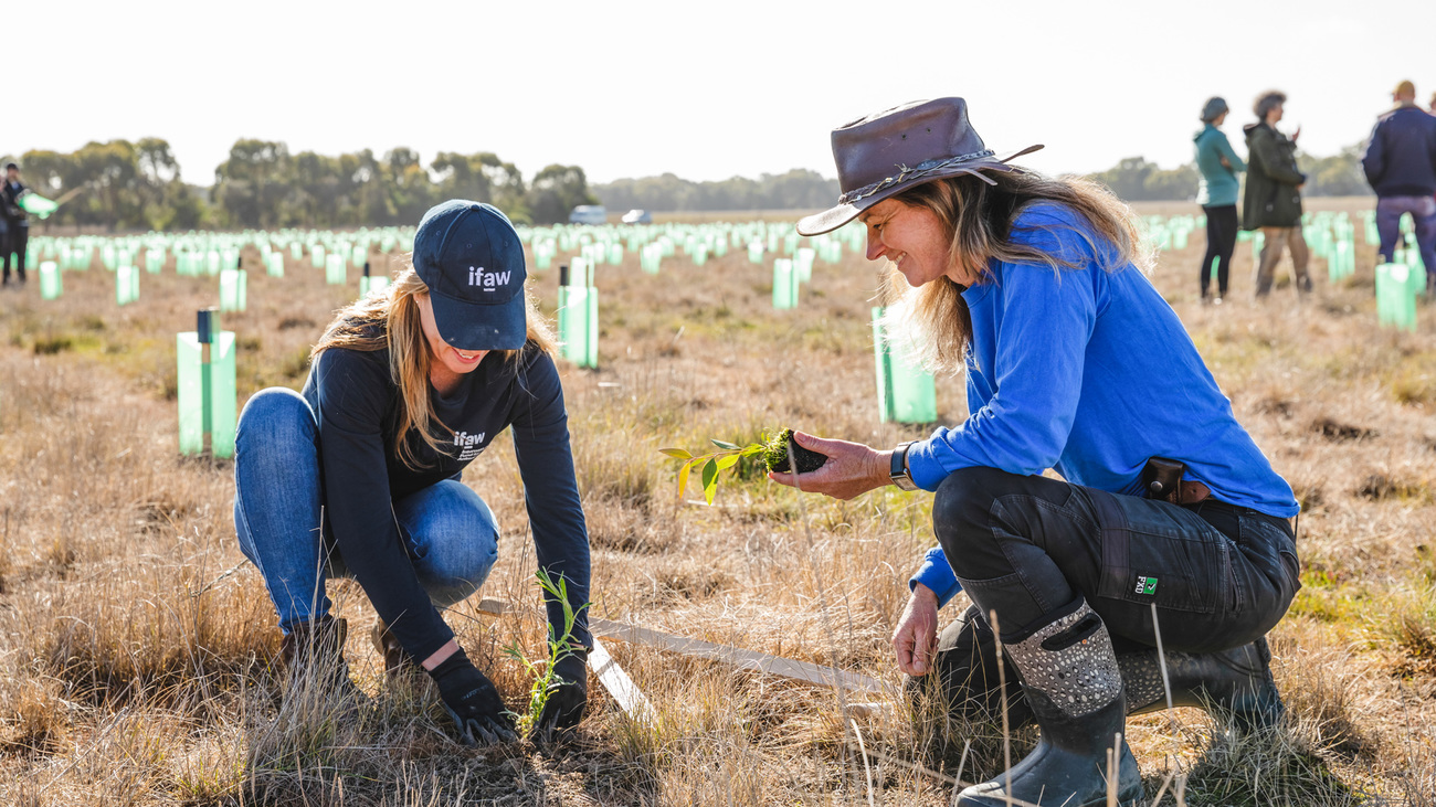 IFAW Landscape Conservation Officer Wendy Simpson with Koala Clancy Foundation President Janine Duffy at a tree planting in Balliang, Victoria in July 2022.