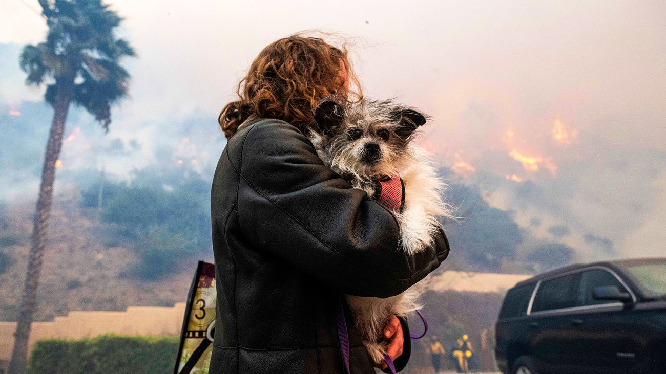 A Pacific Palisades resident flees with her dog from the oncoming Palisades Fire, 7 January 2025