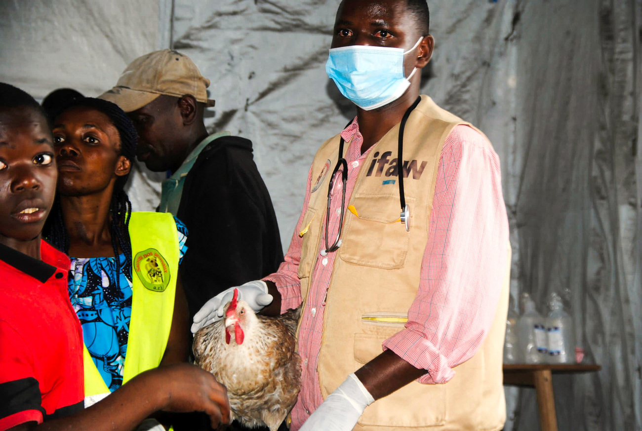 Man erkennt mehrere Menschen mit einem Huhn in einer Art Zelt.