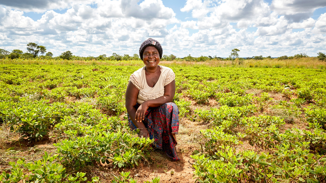 Christine kneels in her peanut field, Mwase Mphangwe, Zambia.