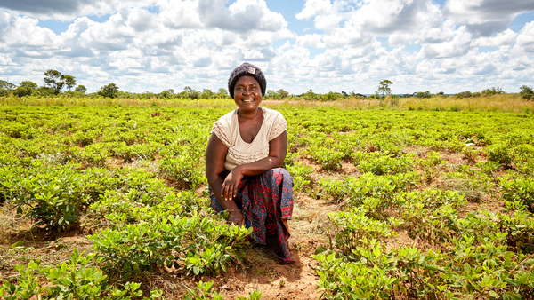 Interconnected crises: climate change, biodiversity loss, poverty 