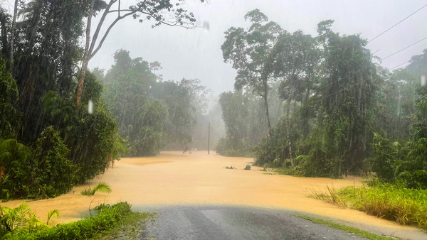 IFAW supports rescue efforts amid Australia’s floods, fires, and storms