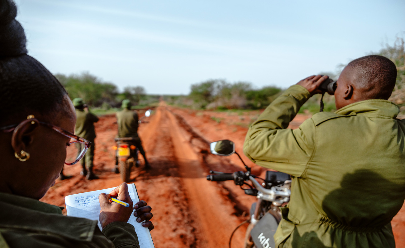 Community rangers in Mgeno Wildlife Conservancy surveying wildlife spotted during patrol.