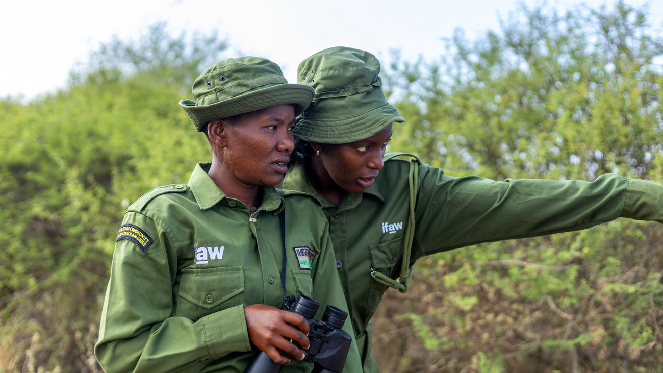 Team Lioness on patrol in Ole Narika Conservancy next to Amboseli National Park.