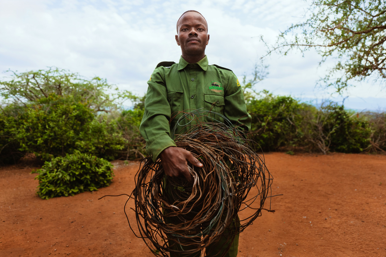 A community ranger in Mgeno Wildlife Conservancy with snares collected during the past six months.