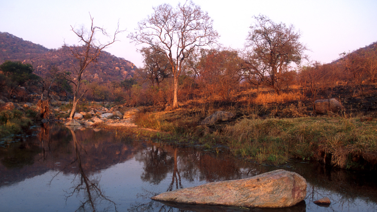 A quiet stream flows beside grassy banks in the Kruger National Park in South Africa while a few sparse trees stand at the foot of rugged hills,. August 2000.