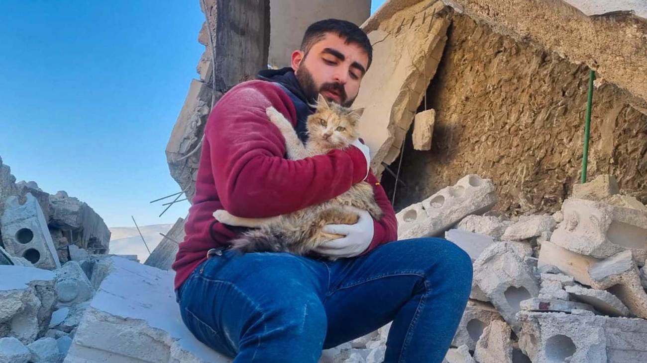 Reddingswerker van IFAW’s partner House of Cats Ernesto, Syrië met een kat gered uit de ravage na de allesverwoestende aarbevingen in februari 2023. 