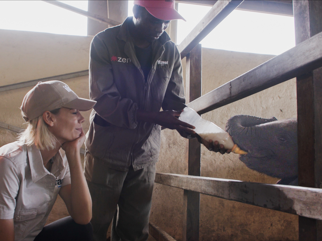 Nicolette ontmoet Beatrice het weesolifantje bij Wild is Life in Zimbabwe.