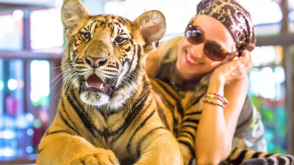 Social posts zoals van Hind en Memphis voeden de handel in exotische huisdieren