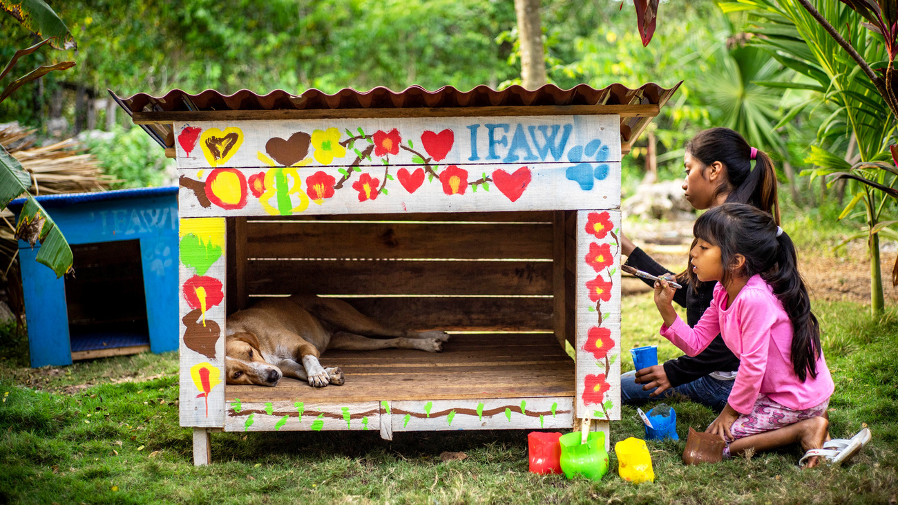 Eine Frau und ein Mädchen bemalen eine Hundehütte aus Holz kunterbunt.