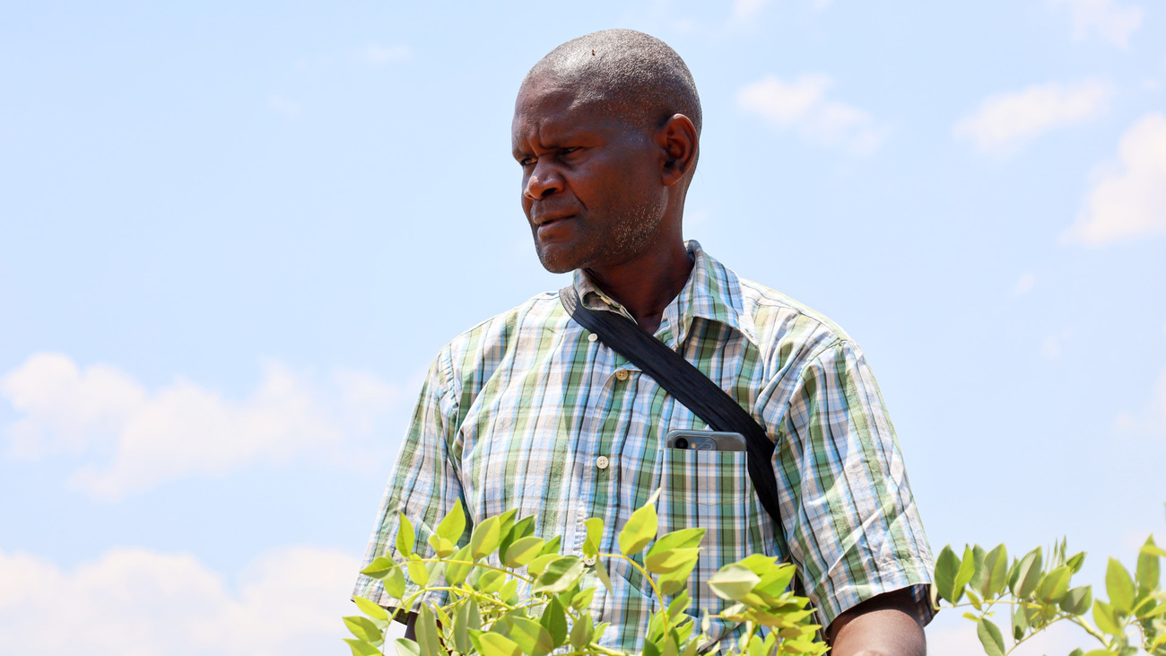 Andrew Mbewe, Chairperson of the Chikomeni Community Forest Management Group