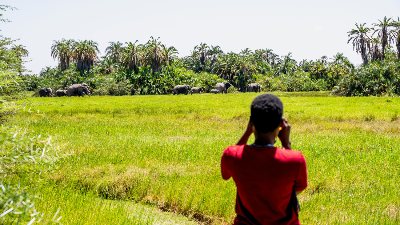 Cecilia Parrae, field researcher at Amboseli Trust for Elephants and IFAW scholarship recipient.