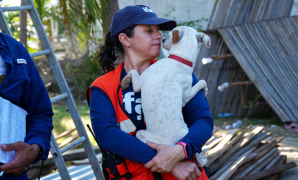 As Hurricane Erick strikes Mexico, IFAW prepares to help animals in danger